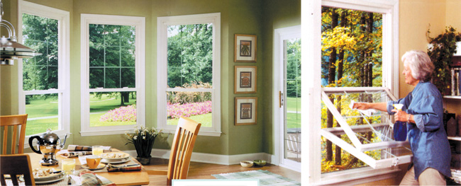 Preservation Windows