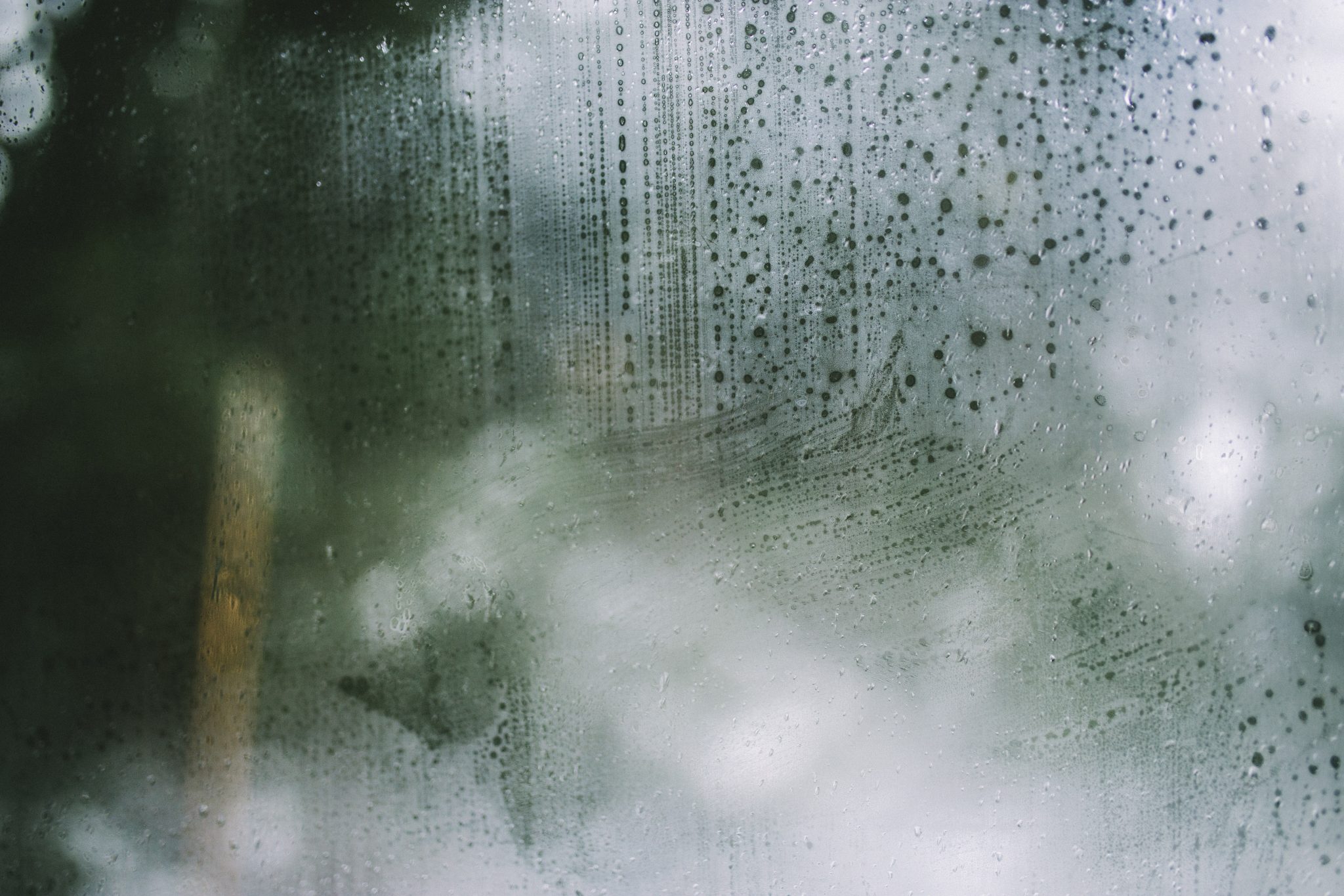 Foggy Windows Seattle WA Foggy Window Repair Seattle Foggy Glass Repair Seattle
