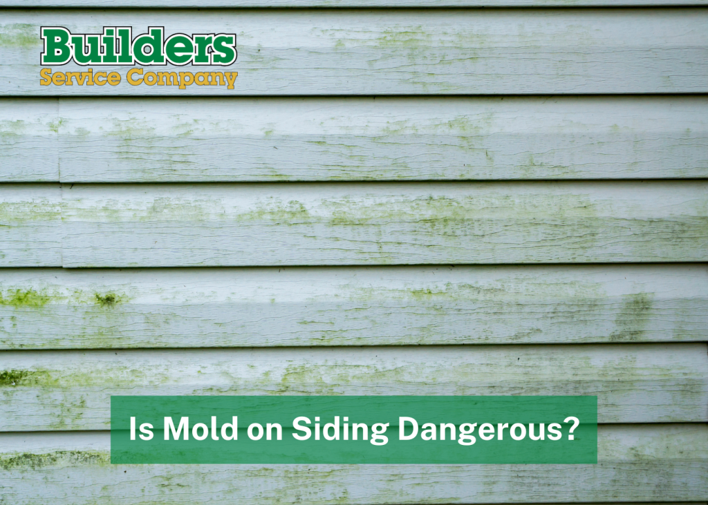 Is Mold on Siding Dangerous