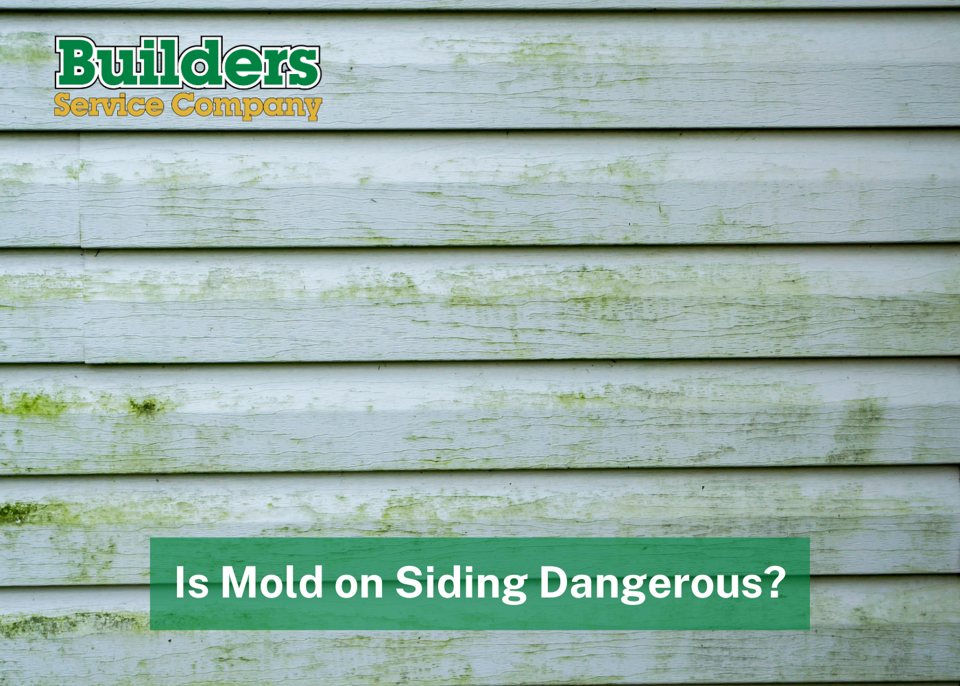 Is Mold on Siding Dangerous